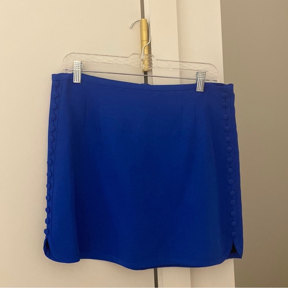 Zara Blue skirt. Never worn.
